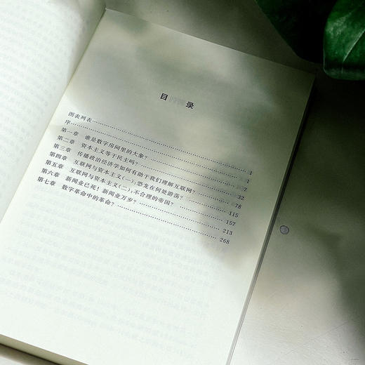 数字断联 批判传播学译丛系列 简明美国互联网发展史 传播政治经济学 商品图6