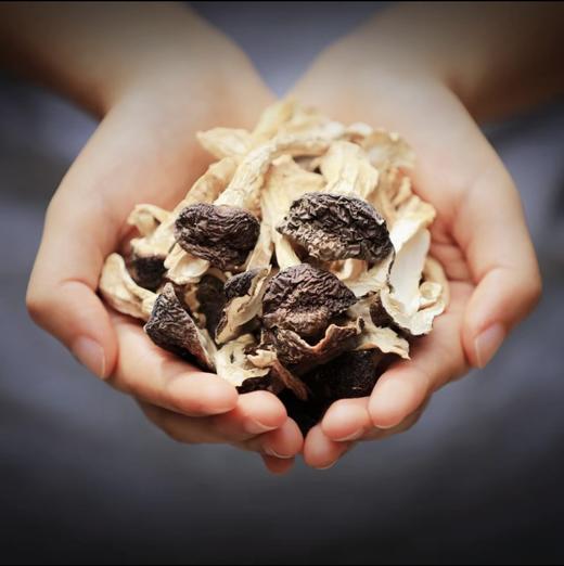 陇源鸡峯人甘肃秦岭赤松茸100g*1袋/2袋 商品图2