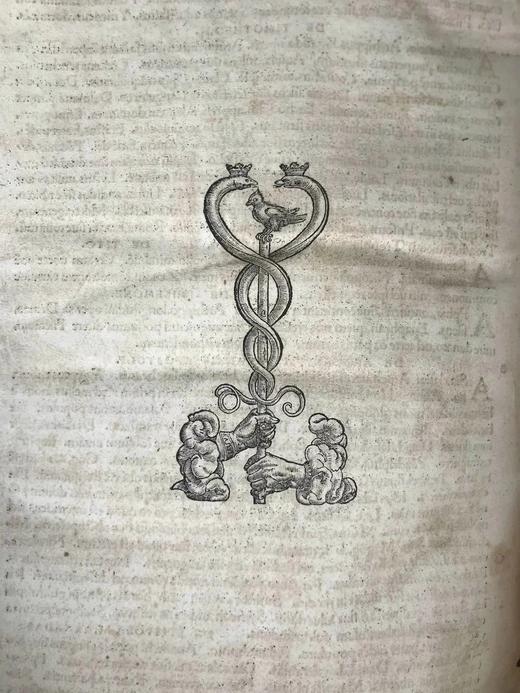 【拉丁语】37.5*26cm！1526年伊斯拉谟评注圣杰罗姆圣经 全真皮精装 商品图11