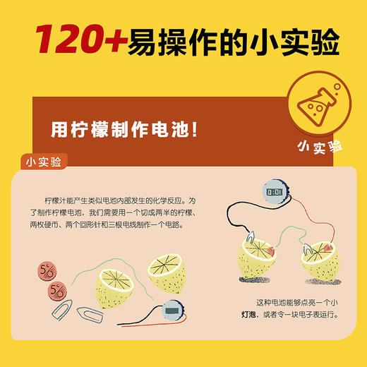 我的小问题·科学 第1-2辑 合辑 （全14册） 商品图12