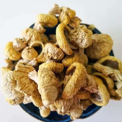 青海特产玉树野生皇菇黄蘑菇半斤装 皇帝菇菌类 商品图0