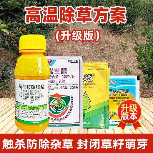 夏季高温除草方案 精草铵膦铵盐烯草酮丙炔氟草胺果园田埂除草剂 商品图4