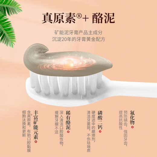 珍稀“酪泥”&丰富矿能元素 给口腔做个SPA   矿能泥牙膏 商品图1