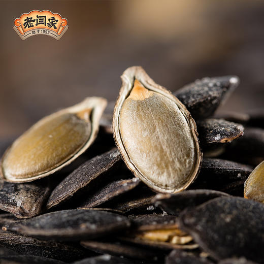 老闫家毛边黑南瓜子500g盐焗味精选黑南瓜子陕北特产南瓜子 商品图1