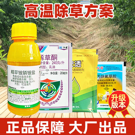 夏季高温除草方案 精草铵膦铵盐烯草酮丙炔氟草胺果园田埂除草剂 商品图3