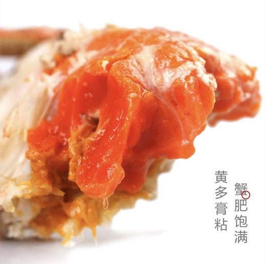 水鲜肴 | 用心挑选·唯您专享【阳澄湖大闸蟹 】 商品图2