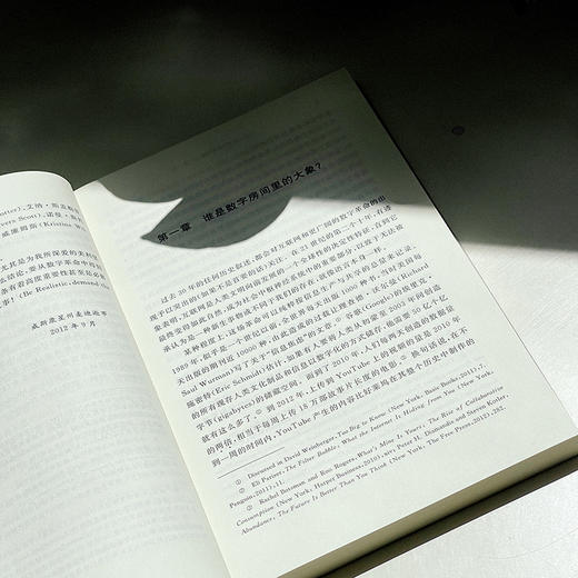 数字断联 批判传播学译丛系列 简明美国互联网发展史 传播政治经济学 商品图8