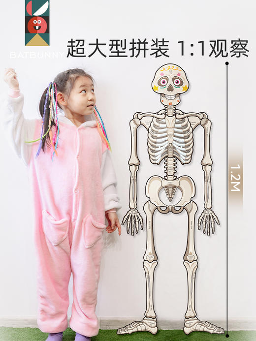 【蝙蝠兔】我的骨怪朋友✅专为儿童科普设计，了解身体构造知识✅13个器官与9个功能片，丰富配件展示器官位置✅视频教学轻松拼装，医生模拟角色扮演✅环保PP材质，防水防撕可反复拆卸。 商品图4