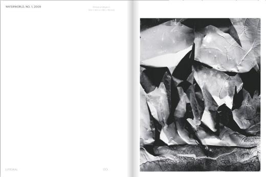 【现货】Michael Flomen: Photograms and Photographs. 2020 – 1970 | 迈克尔·弗洛曼：摄影作品2020 - 1970 商品图2