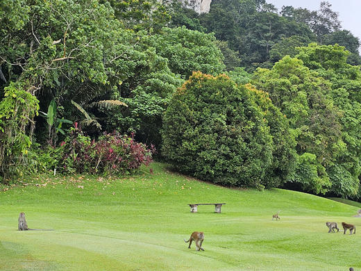 吉隆坡坦普勒公园高尔夫俱乐部  Templer Park Country Club  I 马来西亚高尔夫俱乐部  I  吉隆坡高尔夫 商品图4