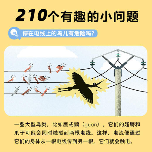 我的小问题·科学 第1-2辑 合辑 （全14册） 商品图5