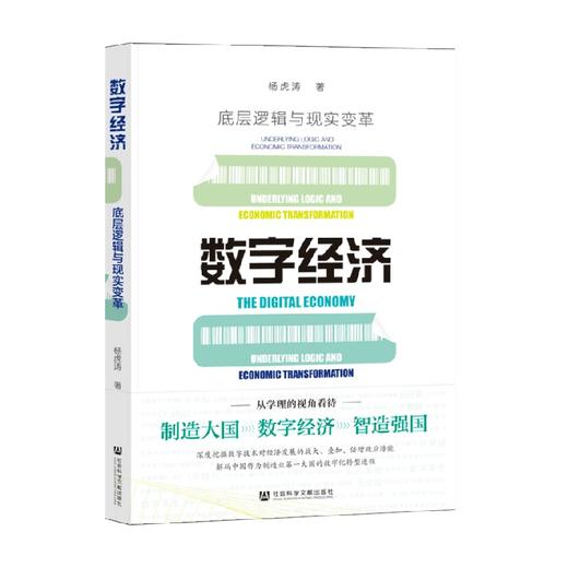 数字经济 底层逻辑与现实变革 杨虎涛 著 经济 商品图0