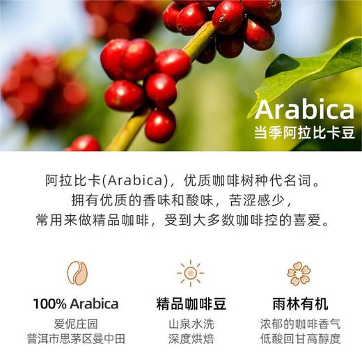 【会员专享】爱伲庄园精品挂耳咖啡试喝装5袋四口味混发 商品图3