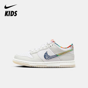 Nike Dunk Low (GS) 大童运动童鞋 FN8913