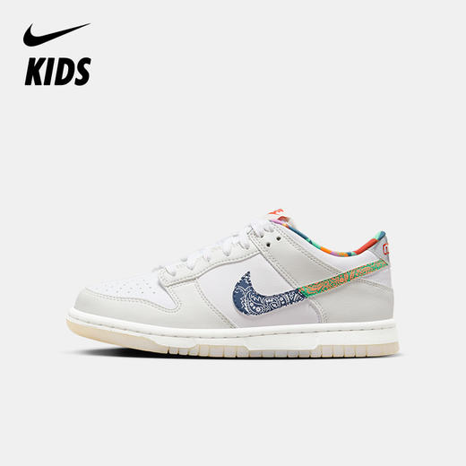 Nike Dunk Low (GS) 大童运动童鞋 FN8913 商品图0