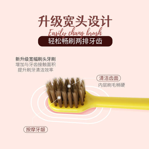 【捡漏9.9两份四支】修洁成人2支装牙刷，韩国情侣款，柔软毛刷头，竹炭马卡龙色，家用必备，清洁舒适，呵护口腔健康。 商品图2