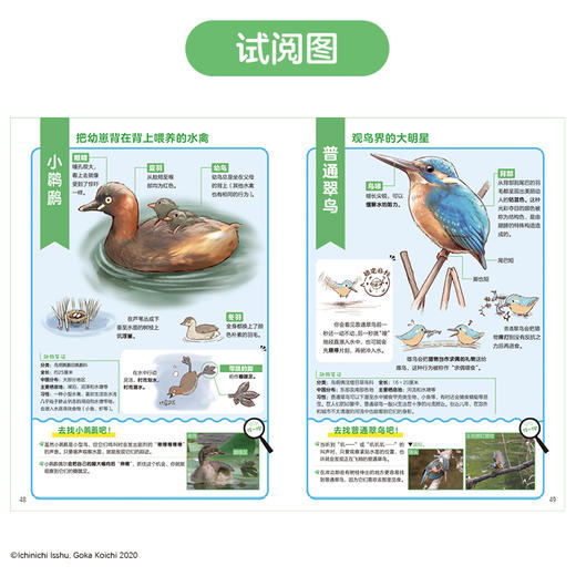 【单本非偏远包邮】探索身边的大自然 : 郊外常见动物图鉴 可爱又有趣，带孩子认识超过69种郊外常见动物，实用的野外观察笔记、自然科普漫画  小天角 商品图2