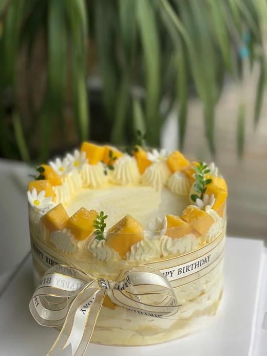 芒果千层 商品图0