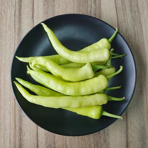 白辣椒（约300g） 商品图0