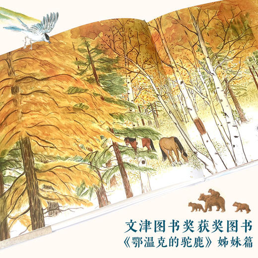 鄂伦春的熊（一个鄂伦春小女孩的森林之旅） 商品图2