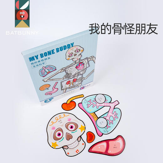 【蝙蝠兔】我的骨怪朋友✅专为儿童科普设计，了解身体构造知识✅13个器官与9个功能片，丰富配件展示器官位置✅视频教学轻松拼装，医生模拟角色扮演✅环保PP材质，防水防撕可反复拆卸。 商品图0