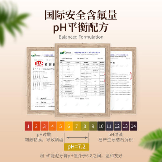 珍稀“酪泥”&丰富矿能元素 给口腔做个SPA   矿能泥牙膏 商品图4