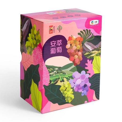 中粮安萃一级阳光玫瑰葡萄单串礼盒装（单串650-850g） 商品图5