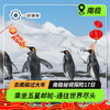 【去南极过大年】南极秘境探险17日·乘坐五星邮轮-海洋信天翁号，获得一张通往世界尽头的船票|航程舒适+探险无忧+穿越德雷克海峡+与企鹅海豹亲密接触+乘坐冲锋艇偶遇鲸鱼） 商品缩略图0
