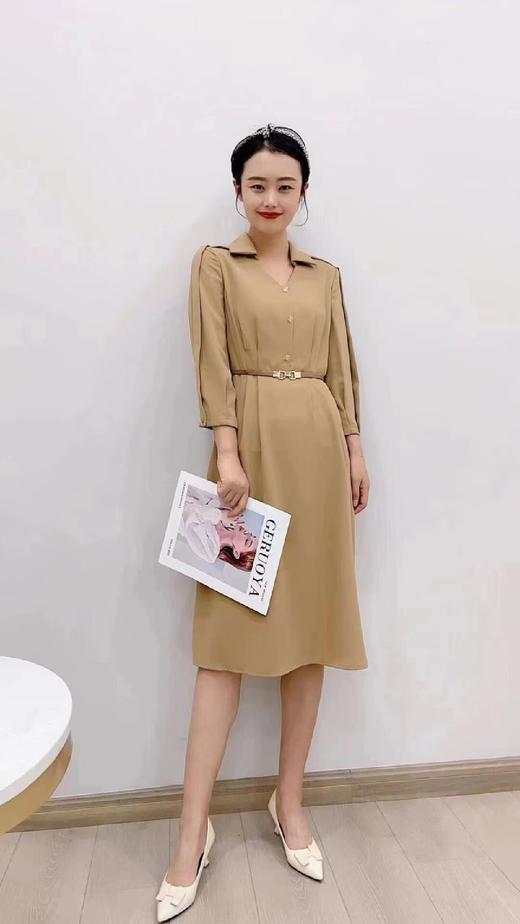 C6112       时尚高端气质修身显瘦中长款连衣裙（特价不退换） 商品图1