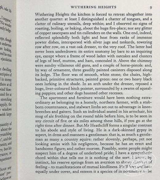 【中商原版】英法版 呼啸山庄 英文原版 Wuthering Heights Emily Bronte 法文原版 小语种 英文对照 商品图4