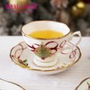 【6F】Royal Albert皇家阿尔伯特 老镇玫瑰圣诞系列茶杯咖啡杯碟套装 商品缩略图1