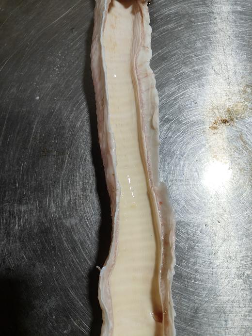 牛杂250-500g 商品图7