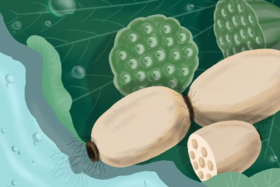 这些伤胃的行为，你犯了多少？