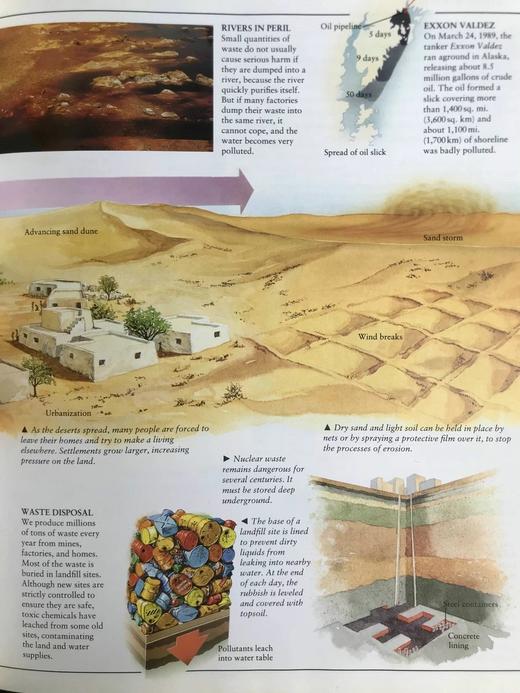 科学视觉百科全书 数百幅彩色插图 精装16开 商品图14