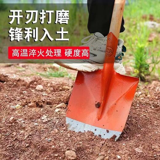 【ZK】铁锨  尖  e捷帮  尖/把  E125  木把尖头铁锹 商品图1