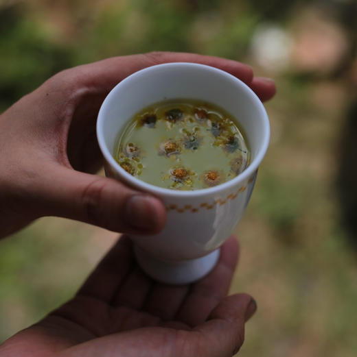 【山野菊花 】30g/罐 *2 商品图1