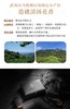 中茶峰岩肉桂（马枕峰） 商品缩略图6