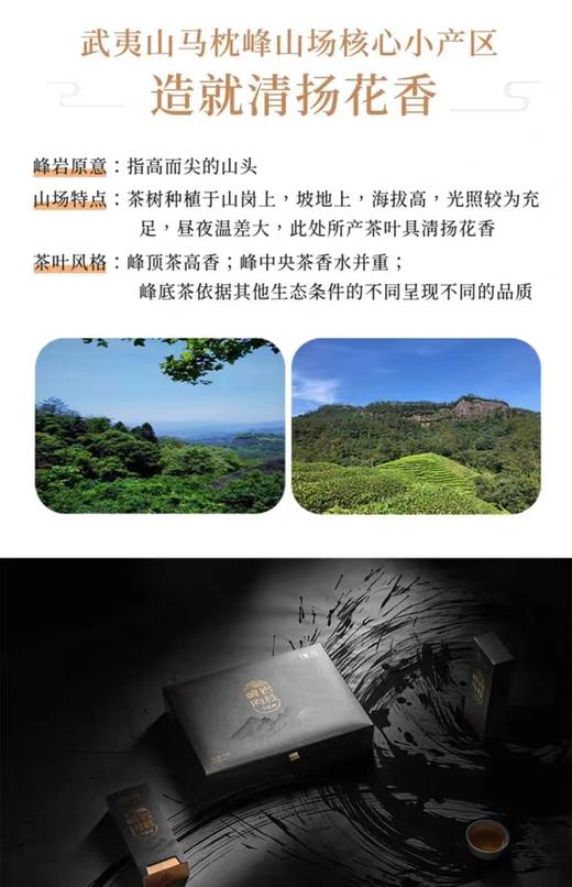 中茶峰岩肉桂（马枕峰） 商品图6