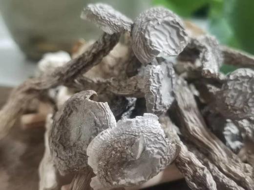 宜昌罐装鹿茸菇180G 商品图3