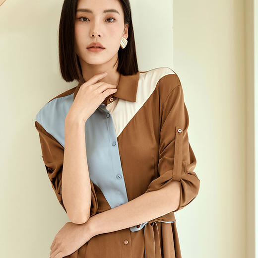 玳莎拼色复古真丝衬衫裙秋季新款中长款气质收腰高级感连衣裙  DC35301 商品图2