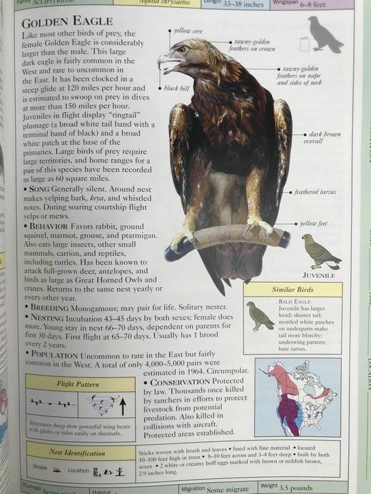DK北美鸟类手册 数千幅插图 精装16开 商品图8