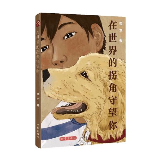 在世界的拐角守望你 翌平 著 小说 商品图0
