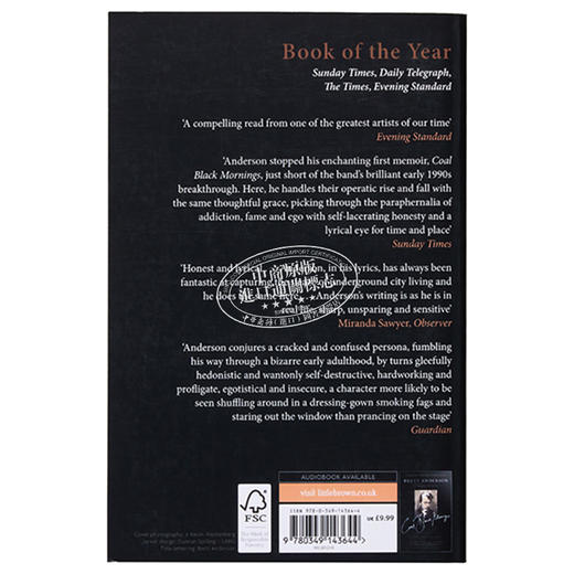 预售 【中商原版】拉下百叶窗的午后 英文原版 Afternoons with the Blinds Drawn Brett Anderso 商品图1