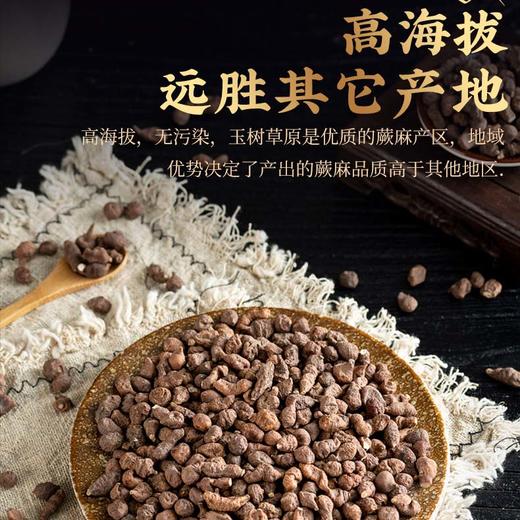 新货青海玉树野生蕨麻新鲜特级角麻人参果无硫厥麻500g 商品图0