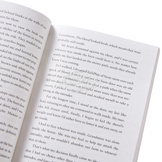 【中商原版】詹妮弗 A 尼尔森 救援 权力系列作者新书 英文原版 Rescue Jennifer A Nielsen 商品图3