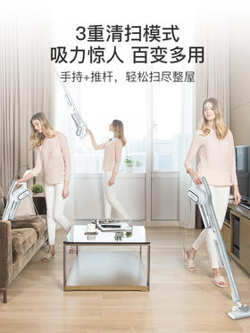 德尔玛吸尘器家用大吸力手持除螨仪猫毛小型非静音强力车载大功率 DX700 