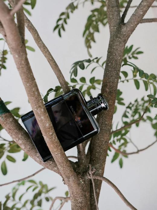 Ralph Lauren/拉夫劳伦肖战俱乐部男士淡香精香水50ML木质香调 商品图3