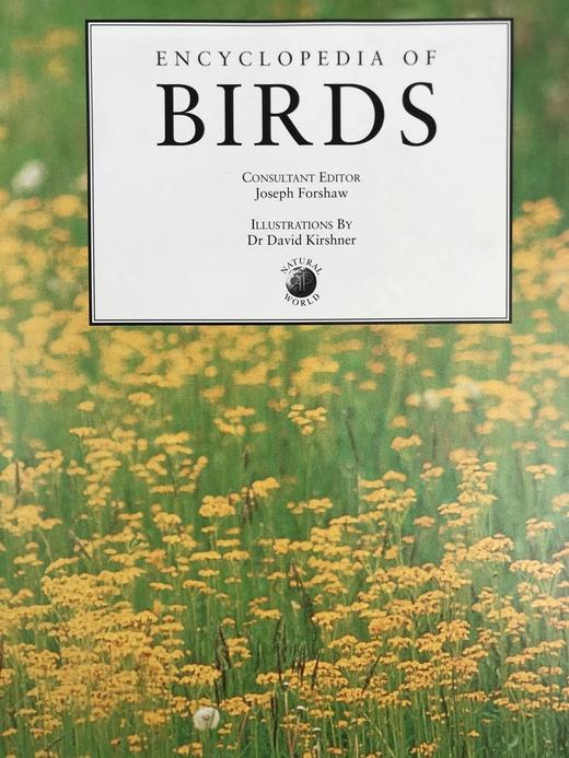 鸟类百科全书 350余幅彩色插图 精装大16开 商品图3