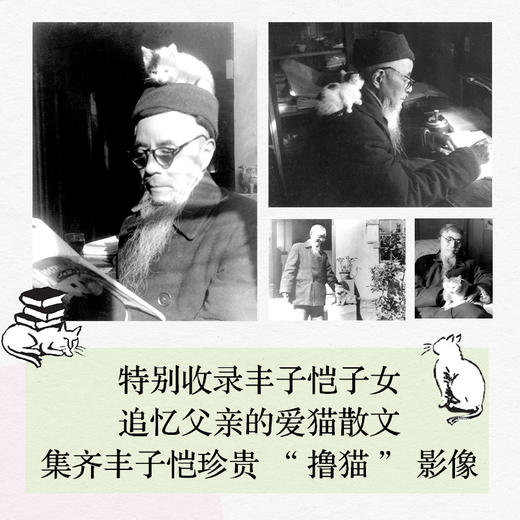 猫的可爱是群众意见 商品图2