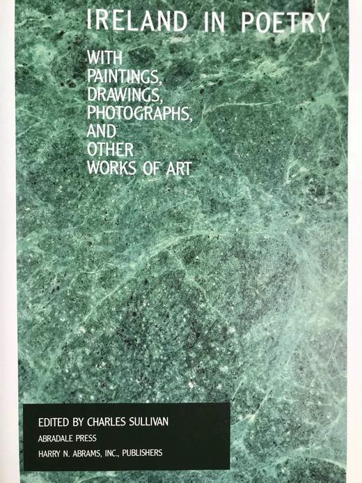 诗歌中的爱尔兰 118幅插图（50幅彩色） 精装16开 商品图3